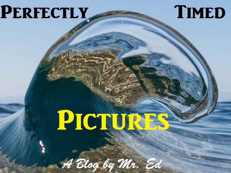Perfectly Times Pictures