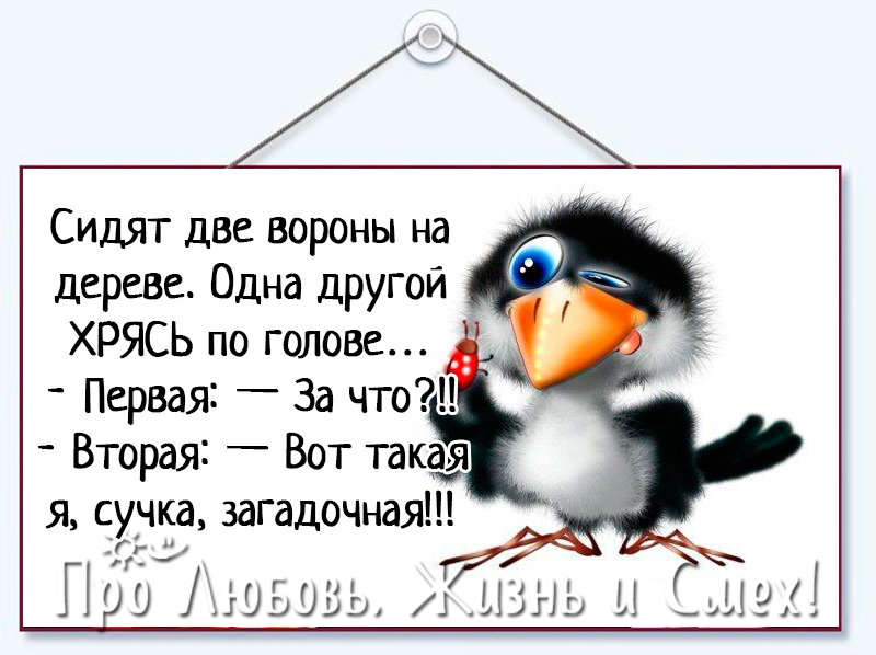 67.jpg