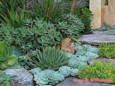 garden and backyard design garden and backyard design