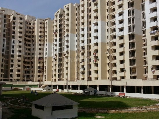 property search in delhi ncr