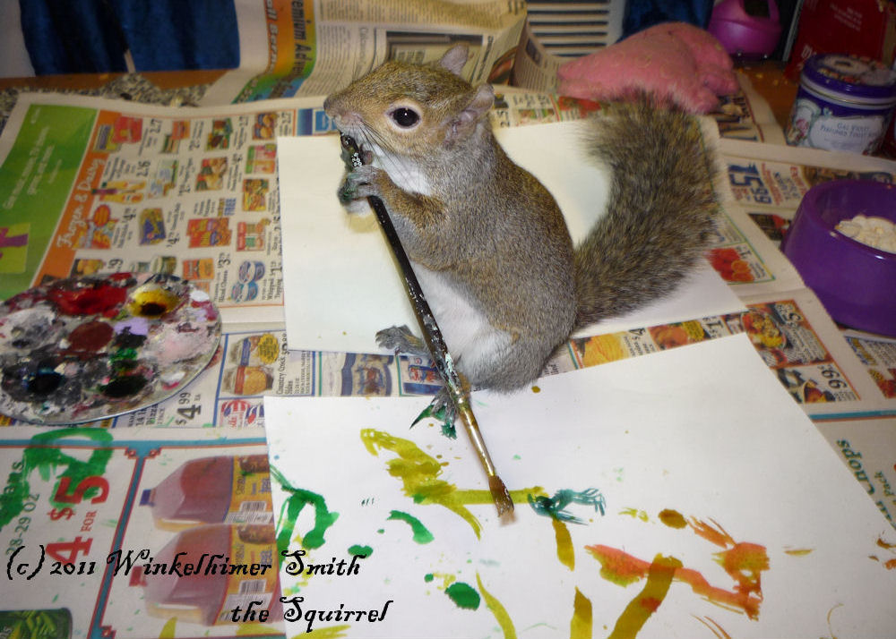 24 Chronic News Squirrel paints viral video
