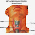 Kelenjar Parathyroid thumbnail