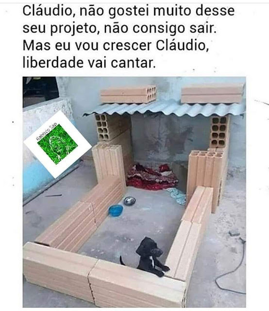 Memes engraçados Memes engraçados