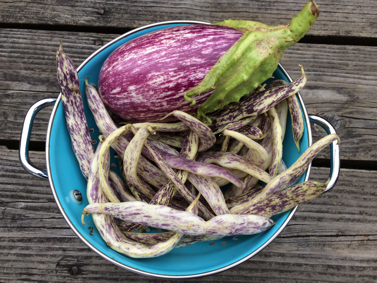 Fairmount Neighborhood Farmers Market Roasted Eggplant and Beans with