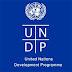 Development Coordination Officer Economist Job at UNDP Tanzania