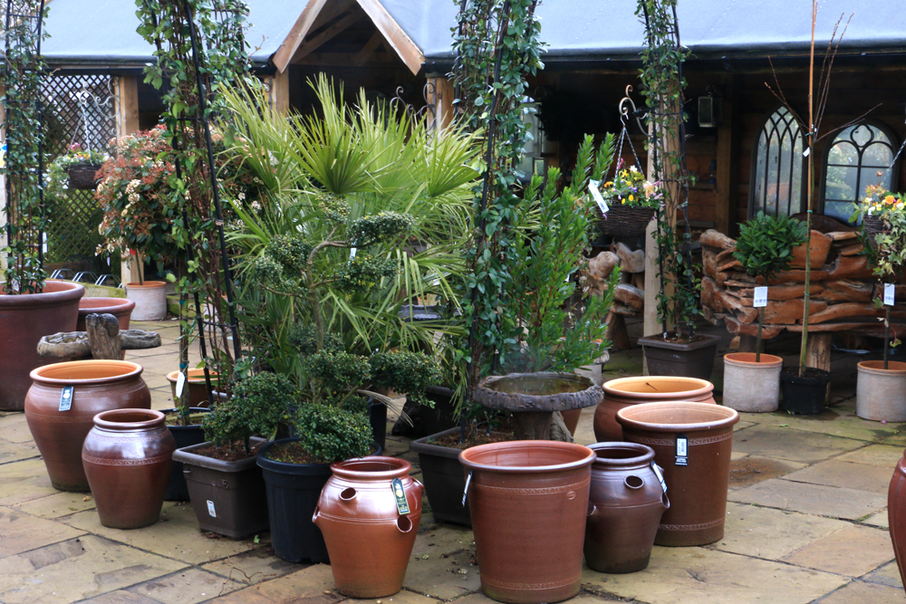 Preston Bissett Nurseries and Country Shop Errington Reay Our British