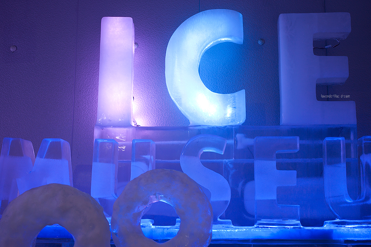Seoul South Korea Hongdae Trick Eye Museum Ice Museum