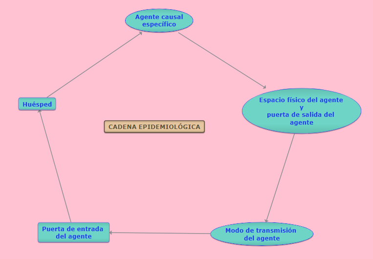 Cadena epidemiológica