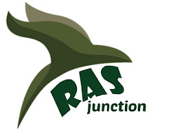 RAS Junction