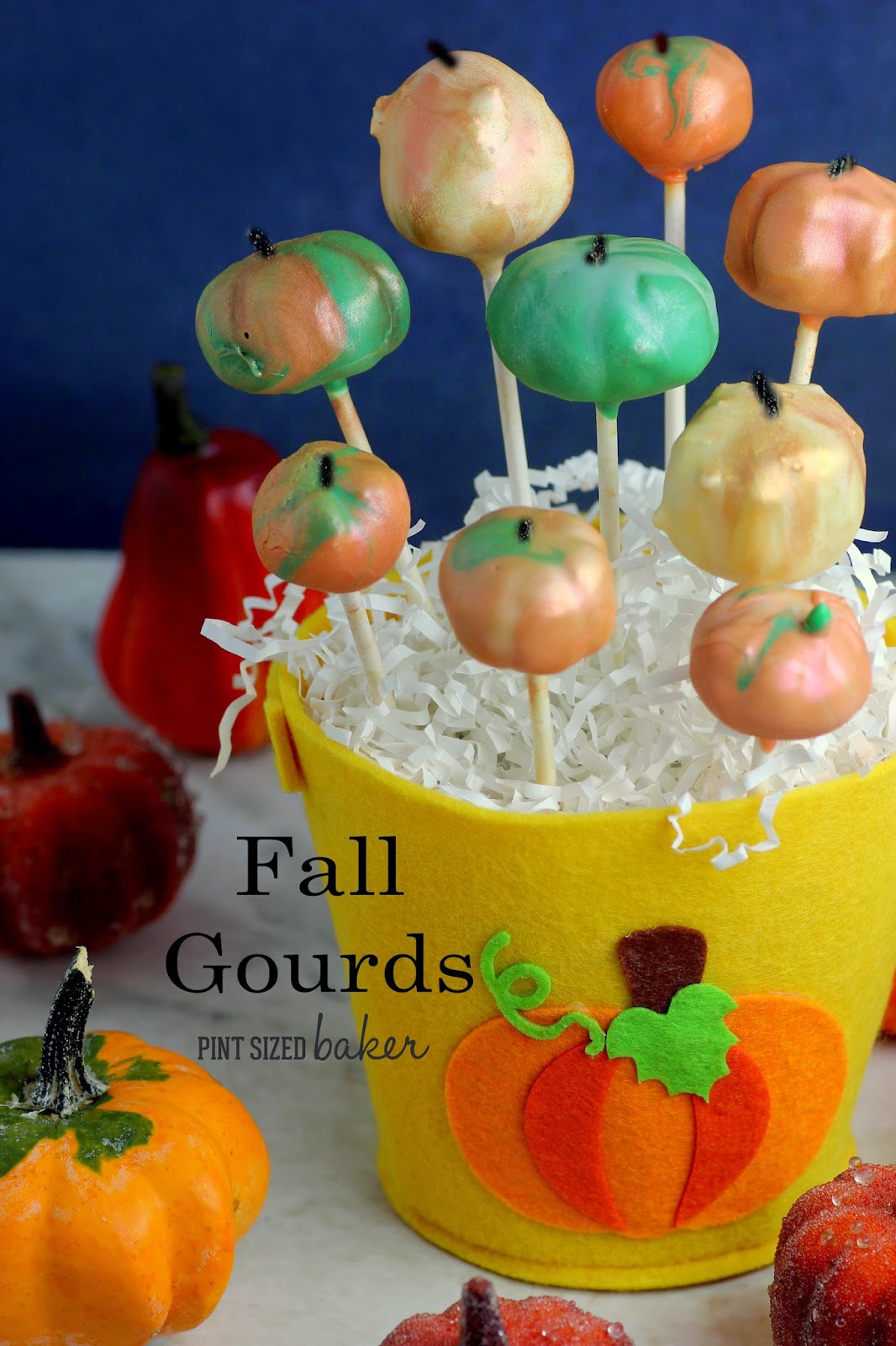 Fall Gourd Cake Pops 1 1%2Bps%2BFall%2BGourds%2BCake%2BPops%2B(10)
