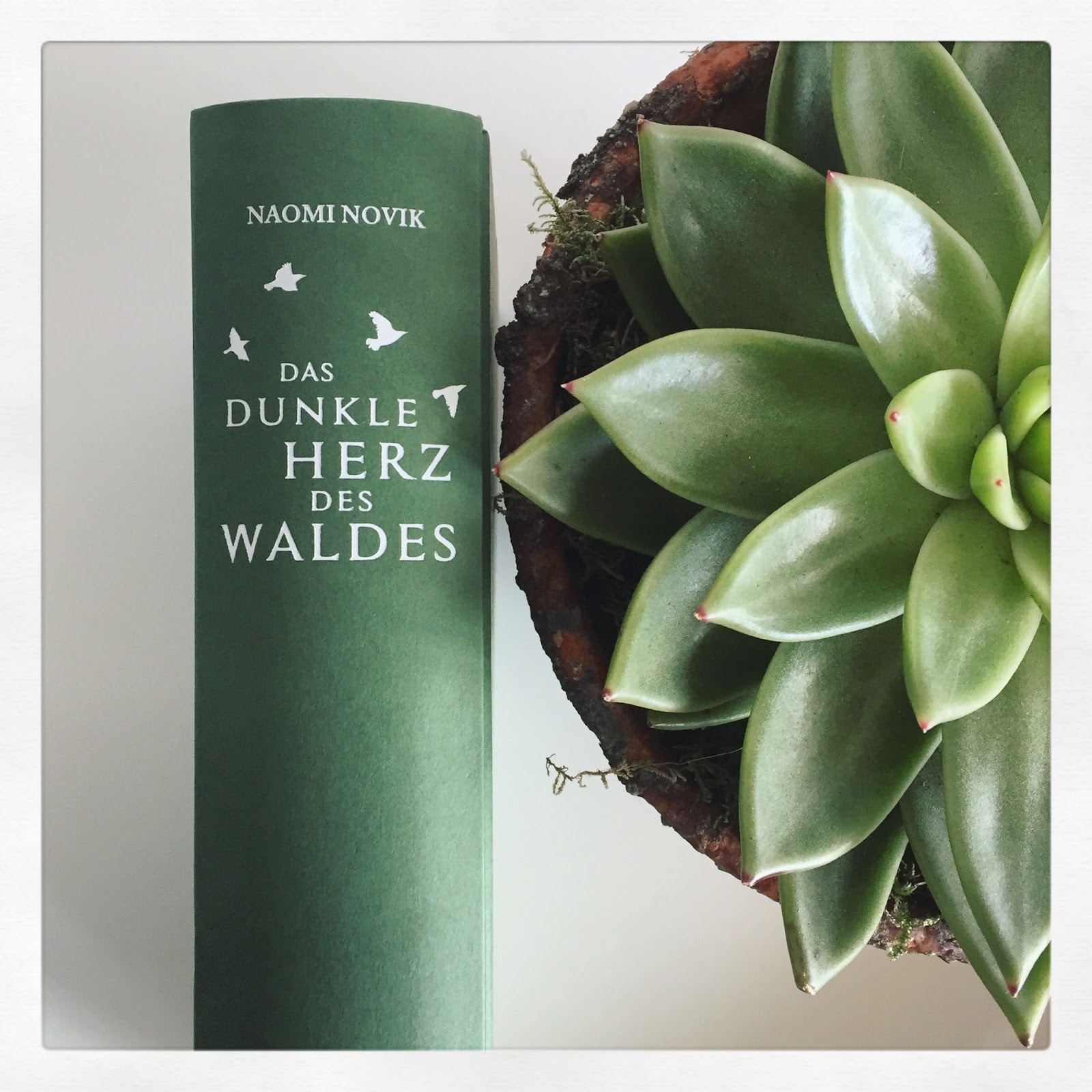 „Das dunkle Herz des Waldes“ von Naomi Novik