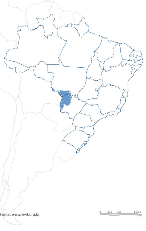 pantanal_mapa.jpg