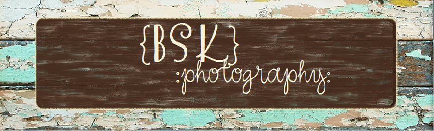 oh snap! {bsk photography}