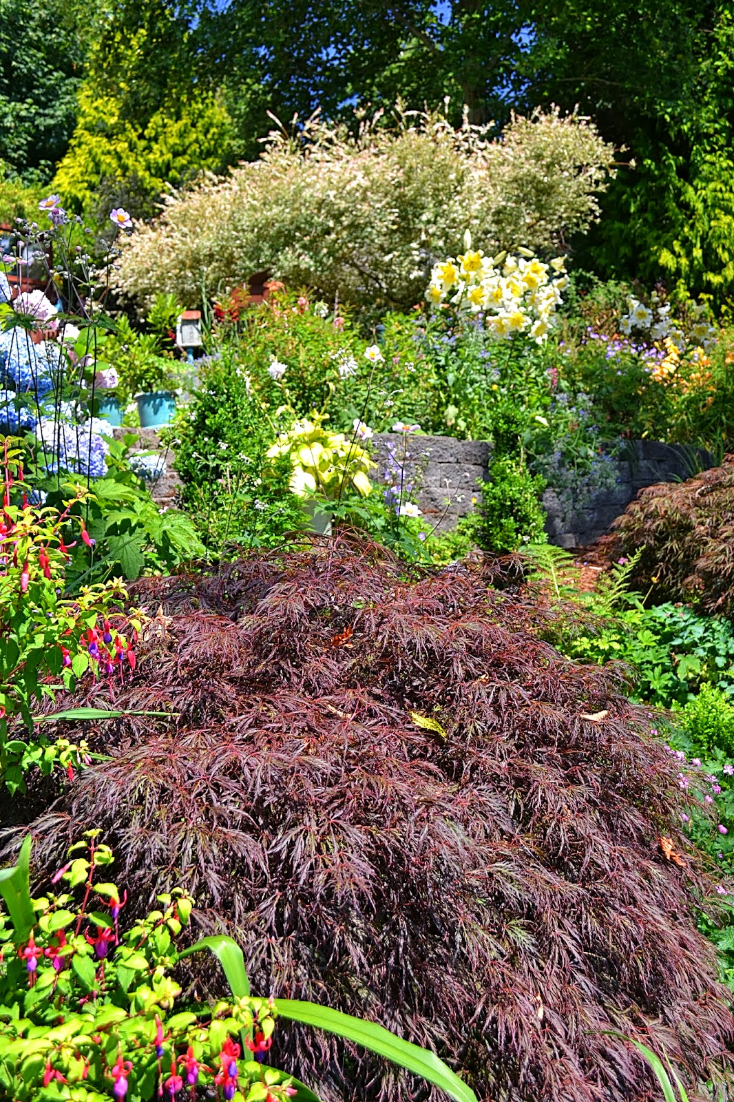 The Outlaw Gardener: The Garden of Paula & Duane Rutan