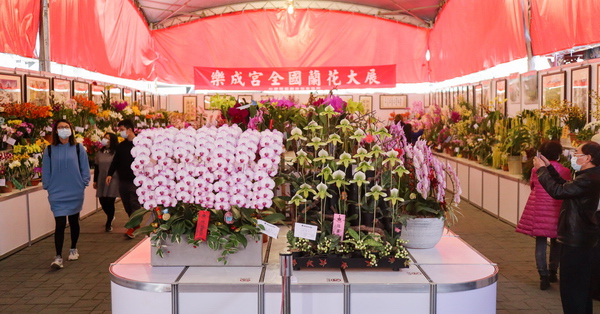 台中樂成宮全國蘭花展1/31-2/9,還有書法國畫展、街頭藝人表演 台中樂成宮全國蘭花展1/31-2/9,還有書法國畫展、街頭藝人表演