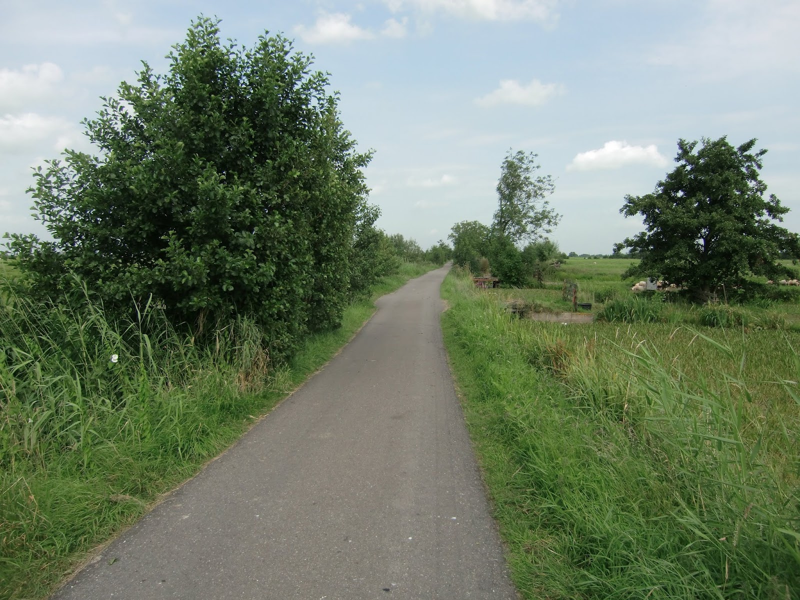 Fietsen door het landschap: 2012 brabantse wal