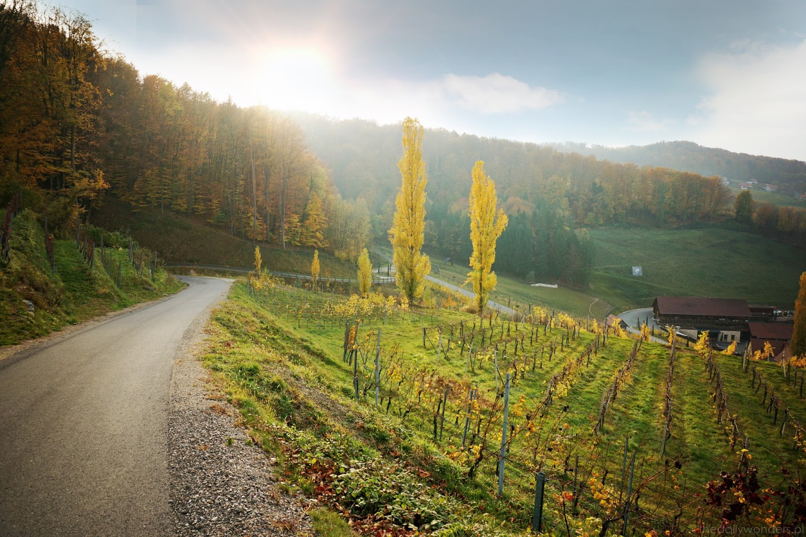 Travel through the famous wine street in the south of Austria what to see in Austria, autumn in Austria, Austrian wine, wine street