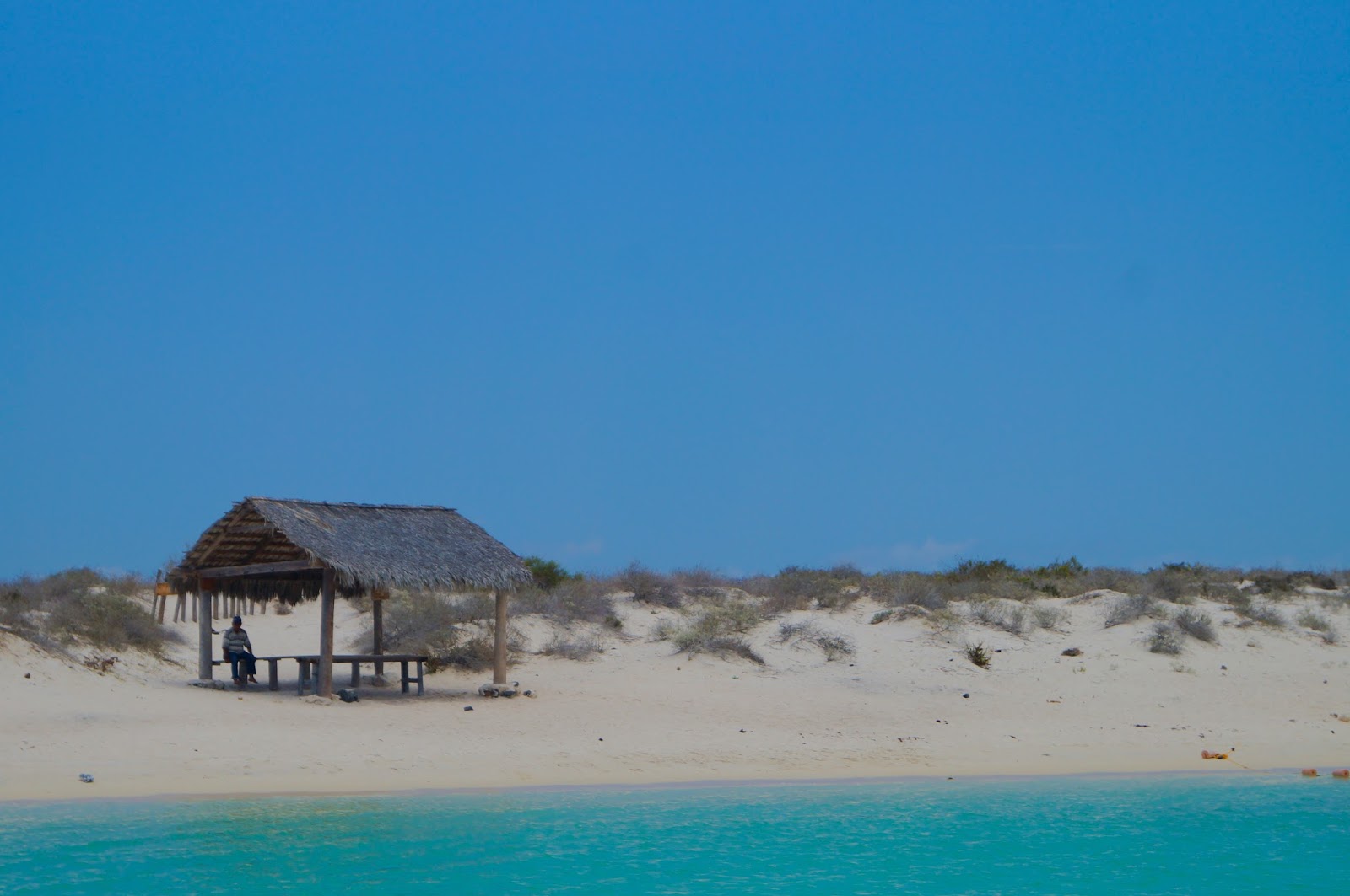 Isla Coronado | Con playas Semi vírgenes y palapas publicas Isla coronado