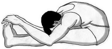 paschimottanasana How To Do Paschimottanasana