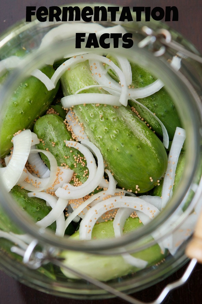 Fermentation Facts Series - Installment #1