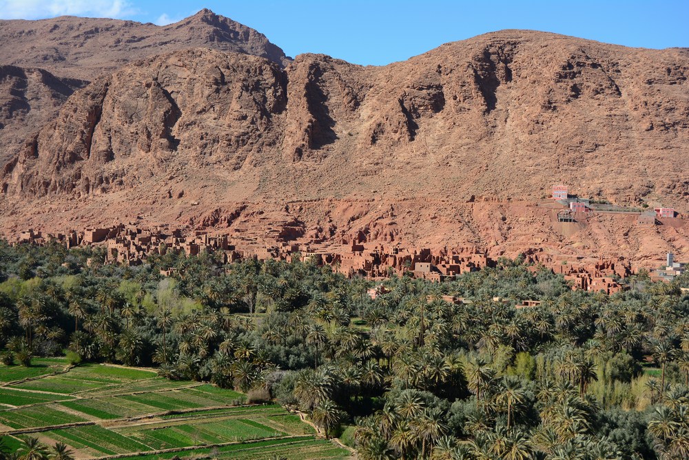 Palmeraie de Tineghir Palmeraie de Tineghir