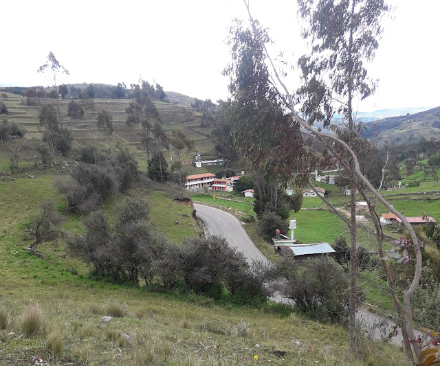Quinuamayo Alto