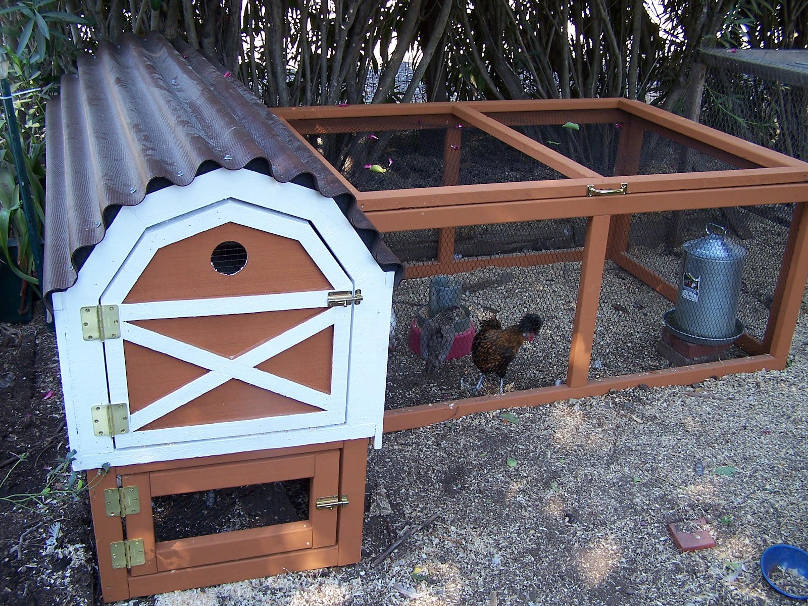 Chicken coop run design COop maryam