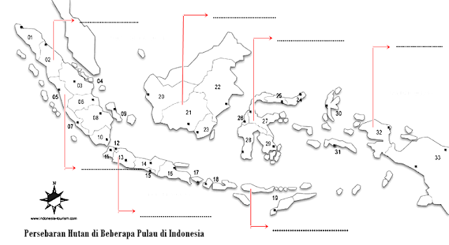 Lembar Kerja Siswa Potensi Sumber Daya Hutan
