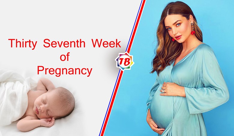 Thirty Seventh Week of Pregnancy