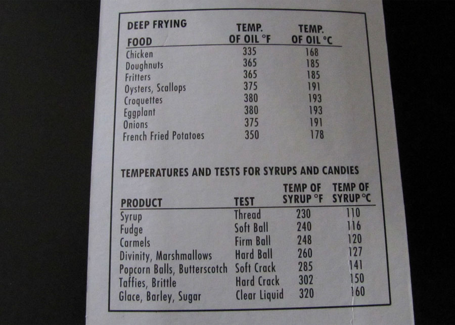 Smells Like Food in Here Taylor Candy and DeepFry Thermometer