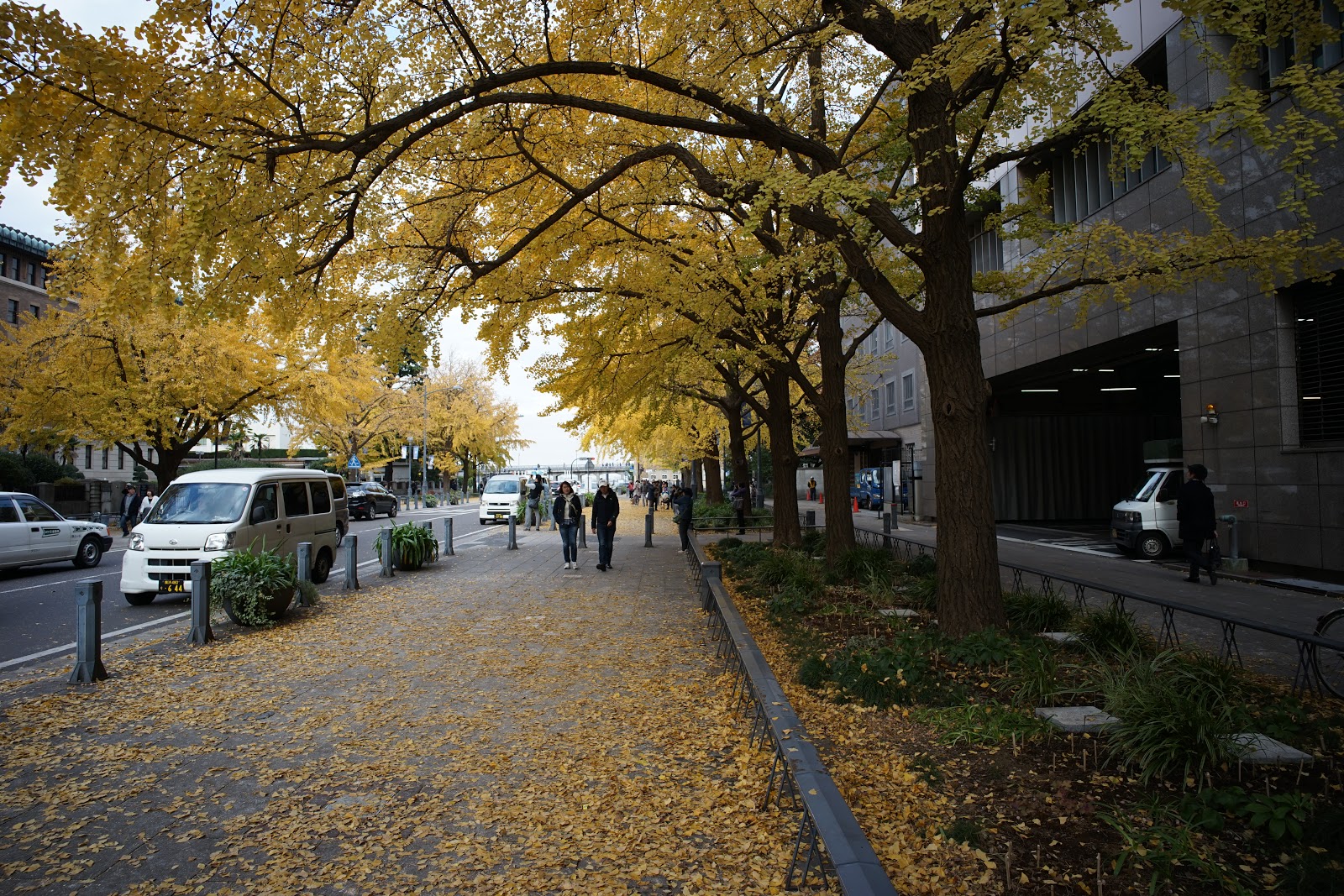 DSC06811.JPG