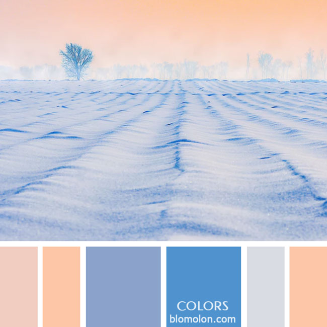 variedad en color paletas de colores 59 variedad_en_color_paletas_de_colores_59