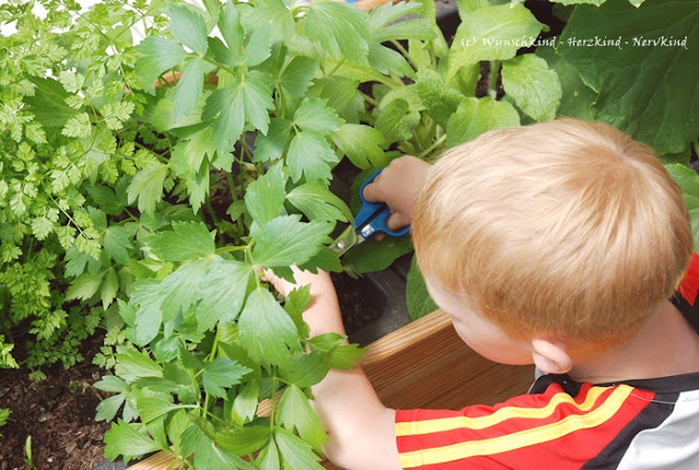 Gartenarbeit mit Kindern. Wertvoll und voller Möglichkeiten zum Kompetenzerwerb. Selbstwirksamkeit, Verantwortung, Vertrauen. Das eigene Tun bewirkt etwas. Ich leiste meinen Beitrag! Gartenarbeit ist Montessori.