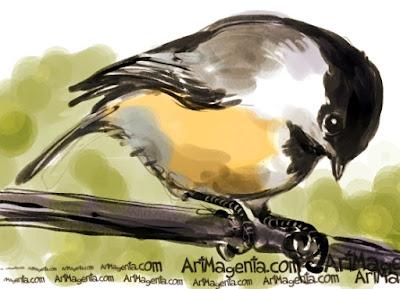 Black-capped Chickadee sketch painting. Bird art drawing by illustrator Artmagenta