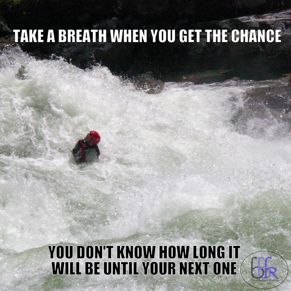 Paddle California The Kayak Meme Machine