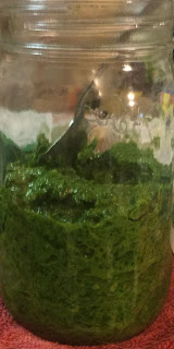 Kale pesto, how to make and use kale pesto, things to use kale pesto in