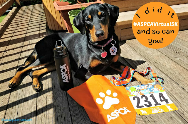 doberman mixed breed rescue dog aspca virtual 5k