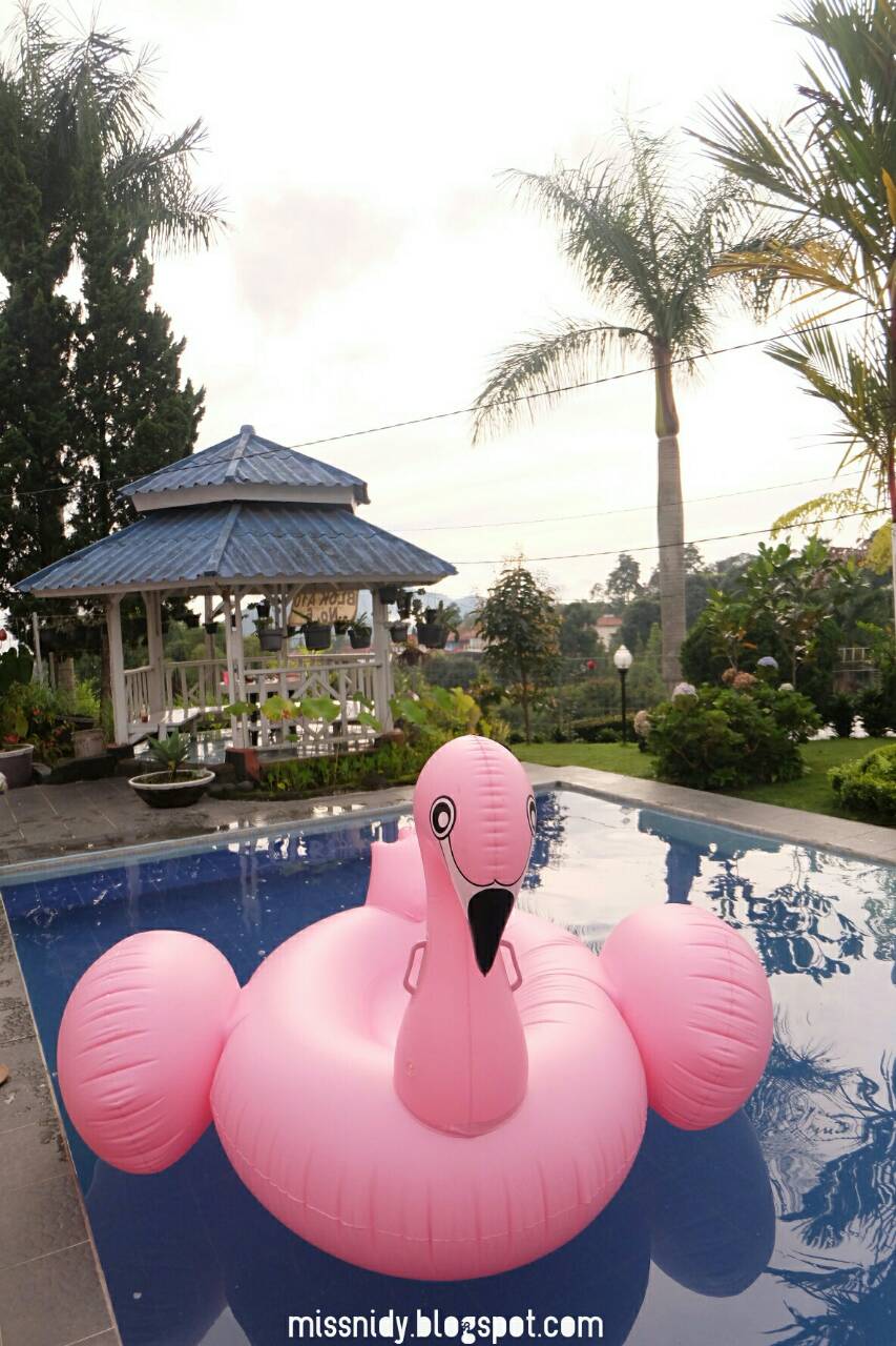 pengalaman sewa flaminggo float
