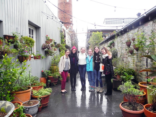 Looking back milkywayblog, milkywayblogger, milky way blog, milky way blogger, mwb, georgia, abbott, the grounds of alexandria, the grounds, friends, squad, squad goals, succulents, winter, lunch