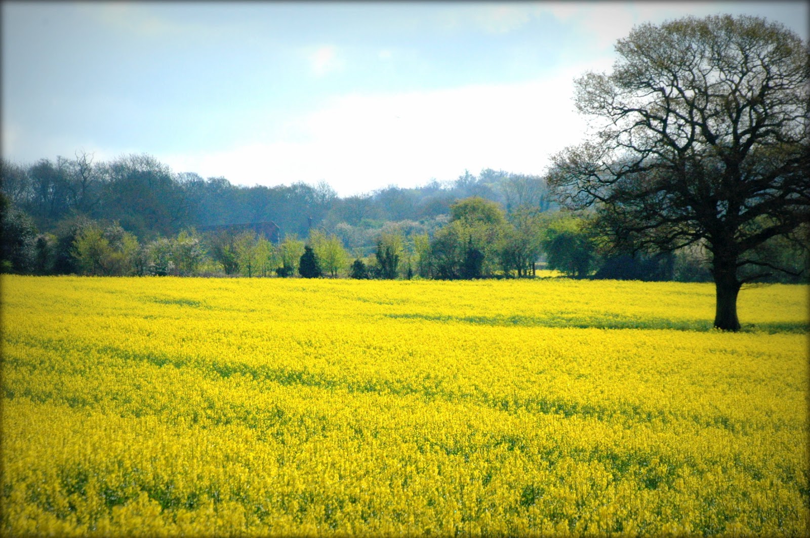 Time field. Fform it. Time picker best design mobile. Field time (перевод. Трава ночью.