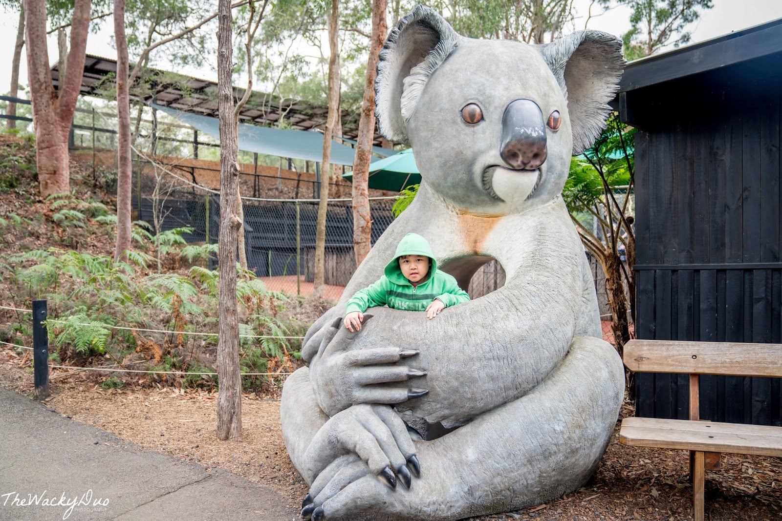 Australian Reptile Park Sydney Review - TheWackyDuo.com - Singapore