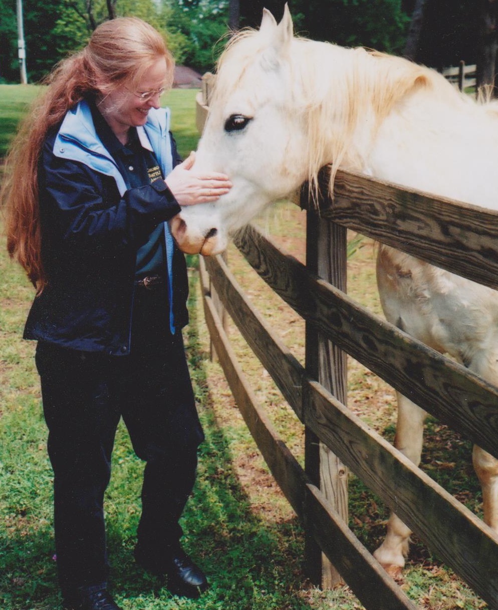 The Civil War Picket Horses and mules Valuable weapons of Civil War