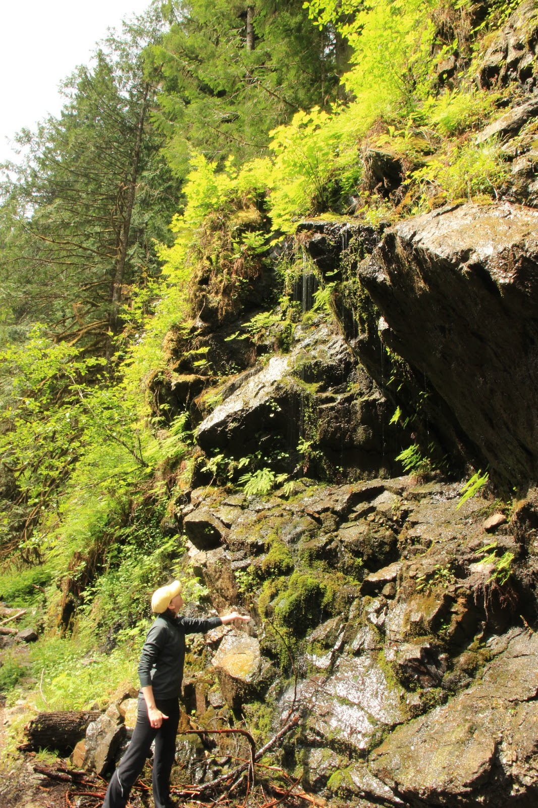 Explorations of Jackie & Joe: Old Robe Canyon Trail