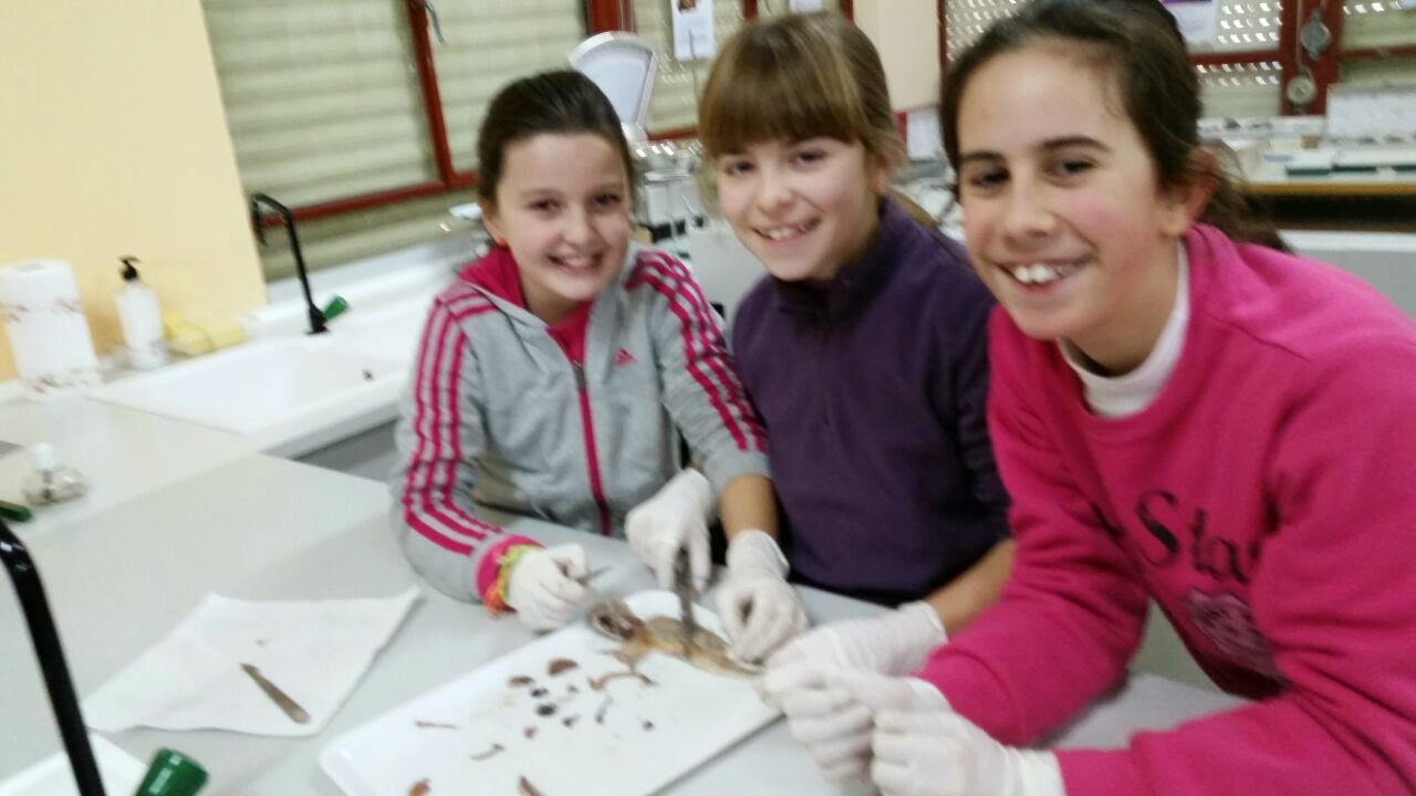 science-in-the-school-february-2015