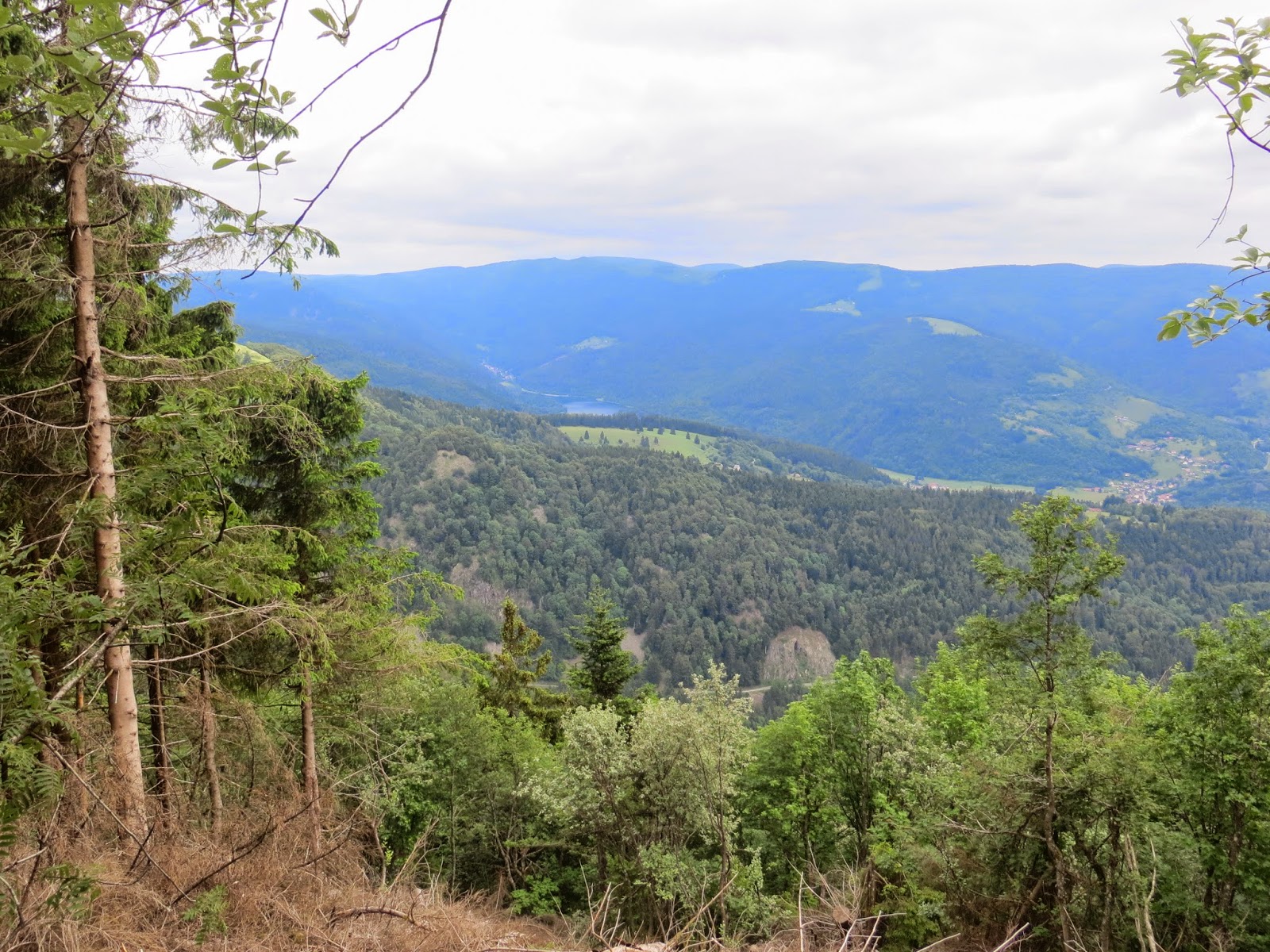 La rimaye: l'amour des montagnes: Drumonts & Gazons