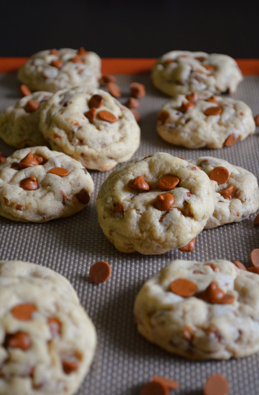 For the Love of Dessert Cinnamon Pecan Pudding Cookies