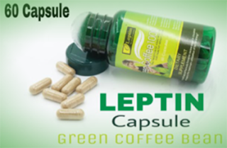 Leptin Green Coffee Kapsul Penurun Berat Badan Original Leptin Green Coffee Kapsul Penurun Berat Badan Original