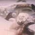 This man fights with an Anaconda with just his bare hands! Terrifying!