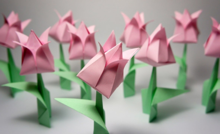 Wow 14+ Gambar Bunga Tulip Dari Kertas Gambar Bunga Indah