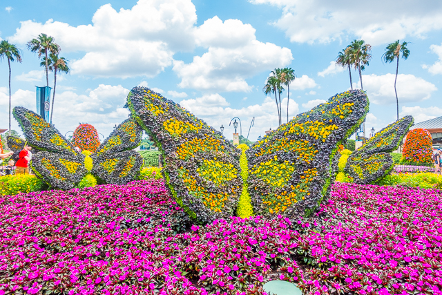Epcot International Flower and Garden Festival 2017 - beautiful flowers and amazing food! You MUST make a trip to Walt Disney World to check out the festival! SO fun! Epcot International Flower and Garden Festival 2017 - beautiful flowers and amazing food! You MUST make a trip to Walt Disney World to check out the festival! SO fun!